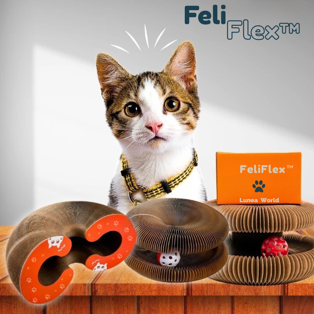 FeliFlex™ - Griffoire magique pour chat
