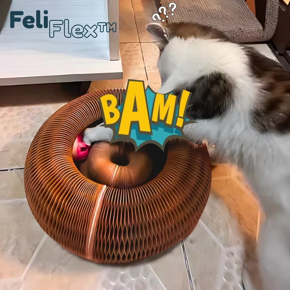 FeliFlex™ - Griffoire magique pour chat