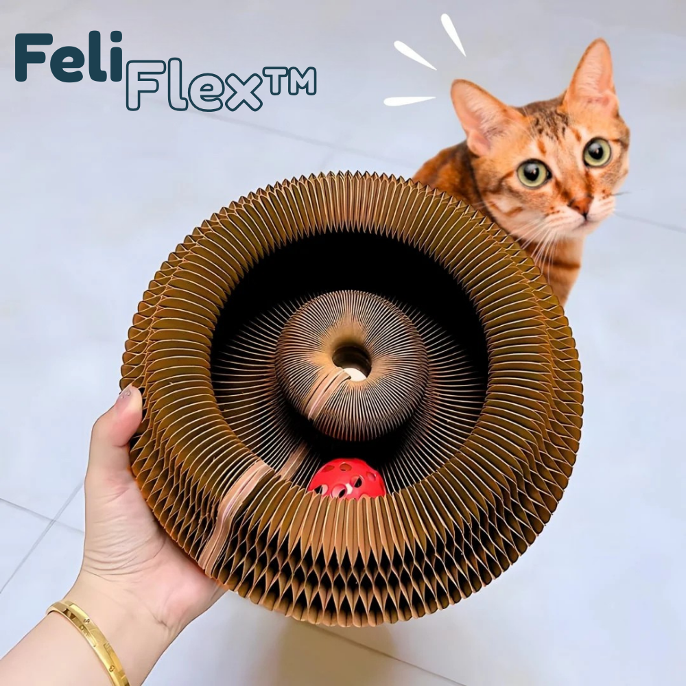 FeliFlex™ - Griffoire magique pour chat