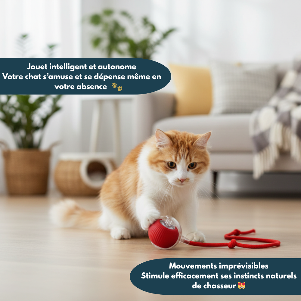 ChaseBall™ Pro – Balle Interactive Rechargeable pour Chats