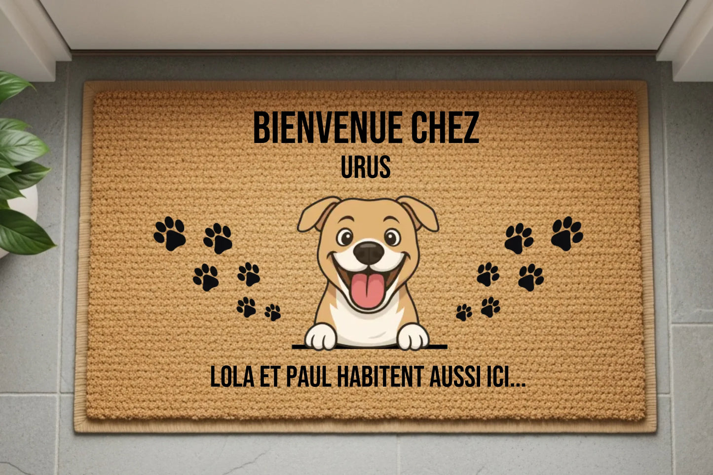 Design sans titre (46)