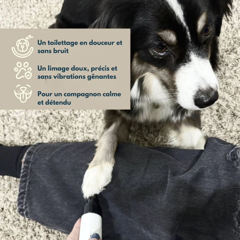 Griffy Pro – Le soin des griffes simple et serein
