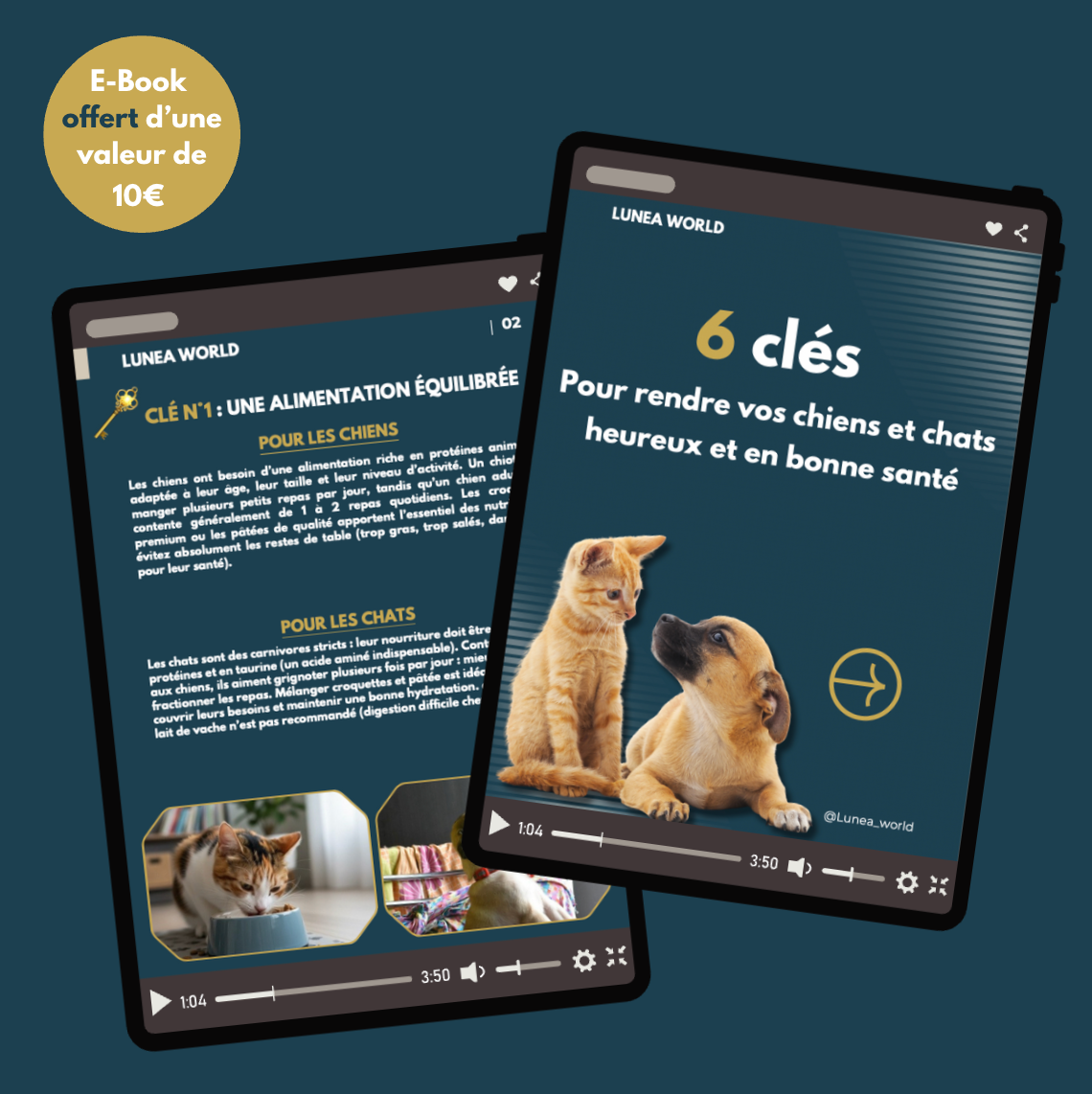 Fontaine Cristal™ – Le plaisir de boire une eau pure, pensée pour votre compagnon.