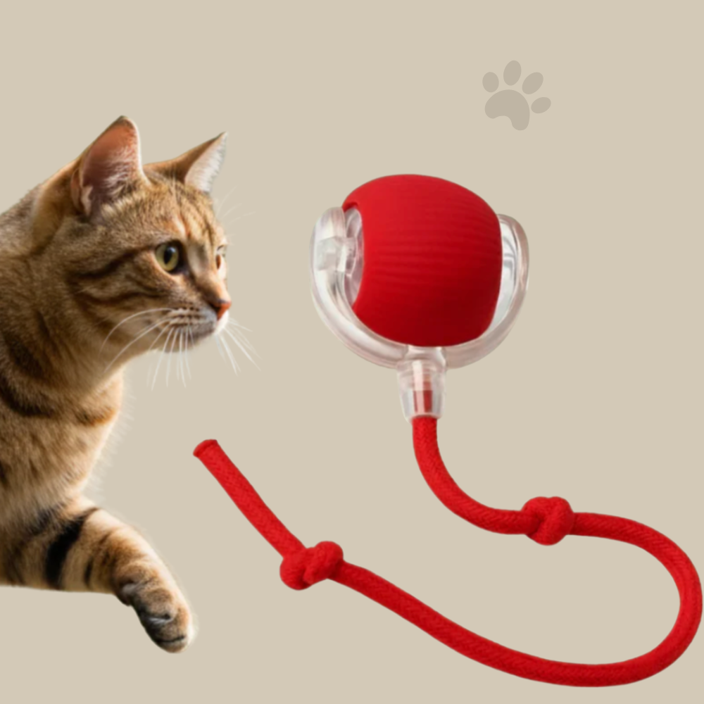 ChaseBall™ Pro – Balle Interactive Rechargeable pour Chats