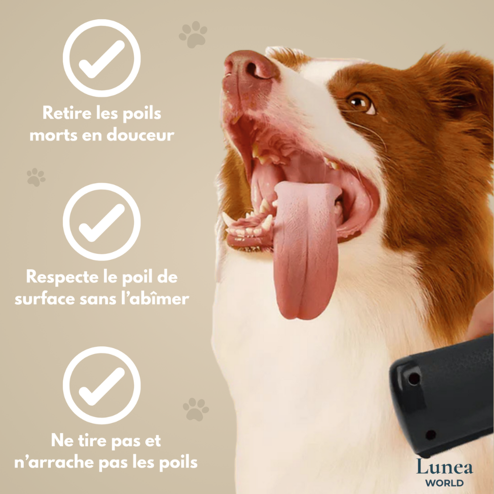 Velora™ Brush - Brosse Anti-Poils Magique