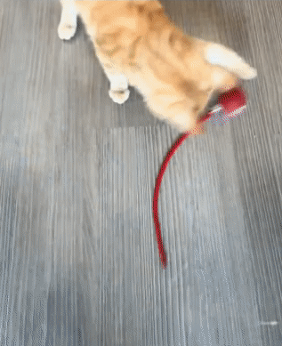 ChaseBall™ Pro – Balle Interactive Rechargeable pour Chats