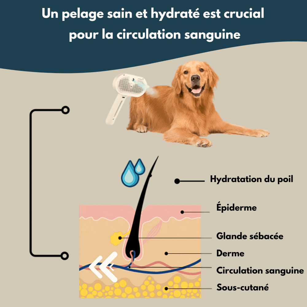 Brosse Veluna™ - 3-en-1 pour un toilettage en douceur