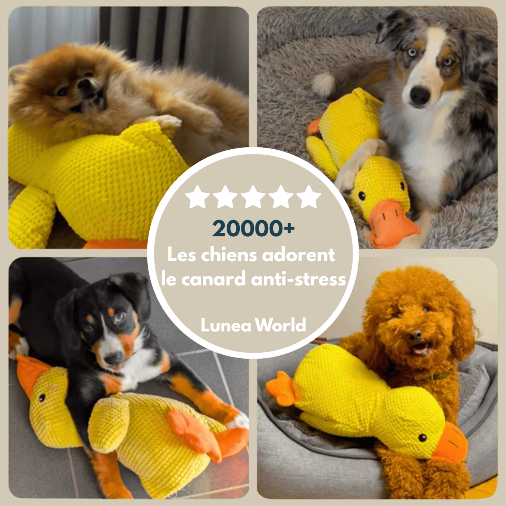 Canard Calmos™ – Doudou anti-stress