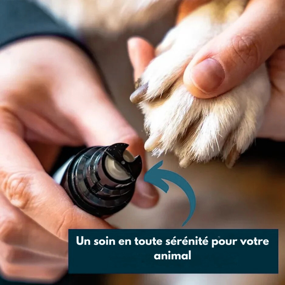Griffy Pro – Le soin des griffes simple et serein