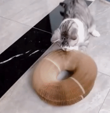 FeliFlex™ - Griffoire magique pour chat