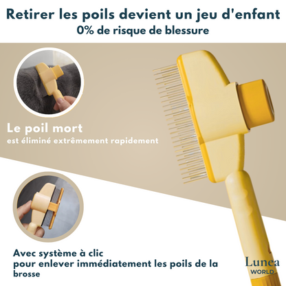 Félinéa™Pro  – Brosse Auto-Nettoyante 3 en 1