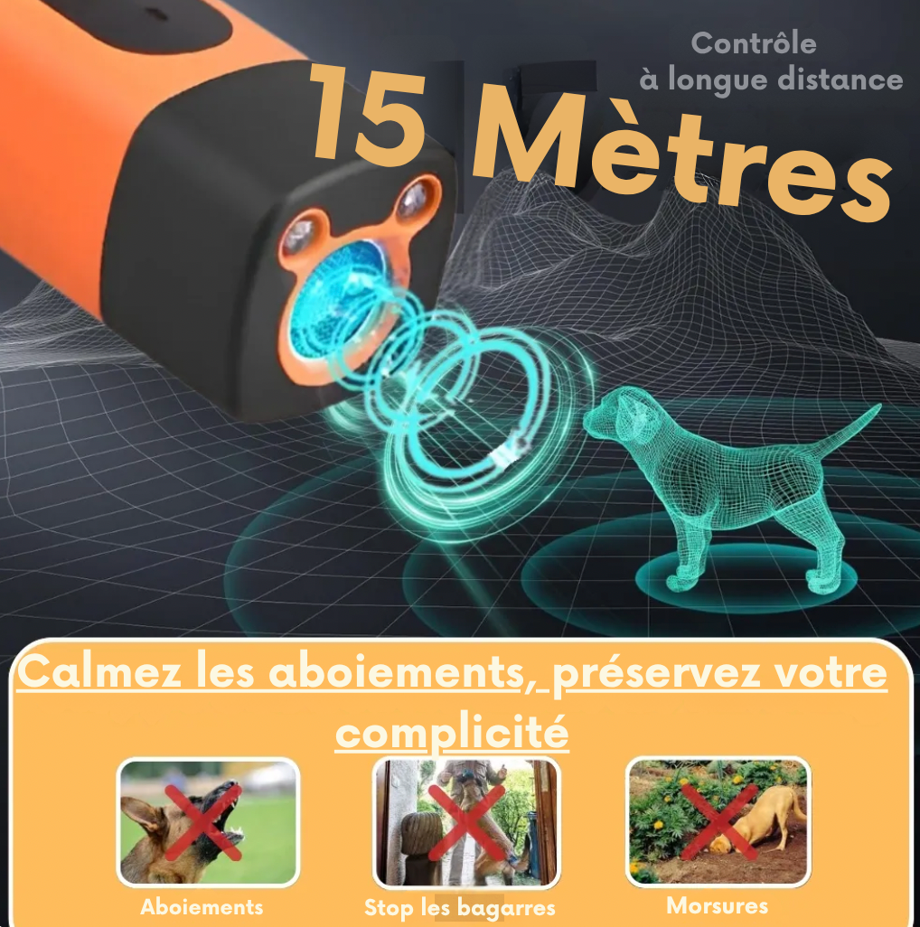 ZenDog - Un compagnon serein, une maison apaisée