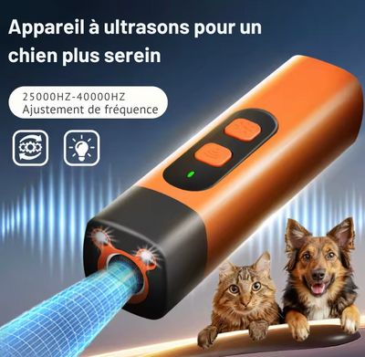 ZenDog - Un compagnon serein, une maison apaisée