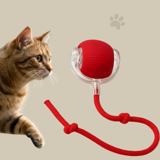 ChaseBall™ Pro – Balle Interactive Rechargeable pour Chats