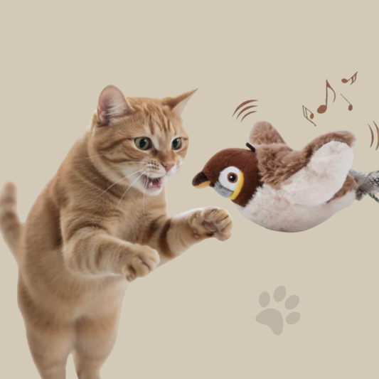 BirdyFly™ – L’oiseau volant qui éveille l’instinct félin