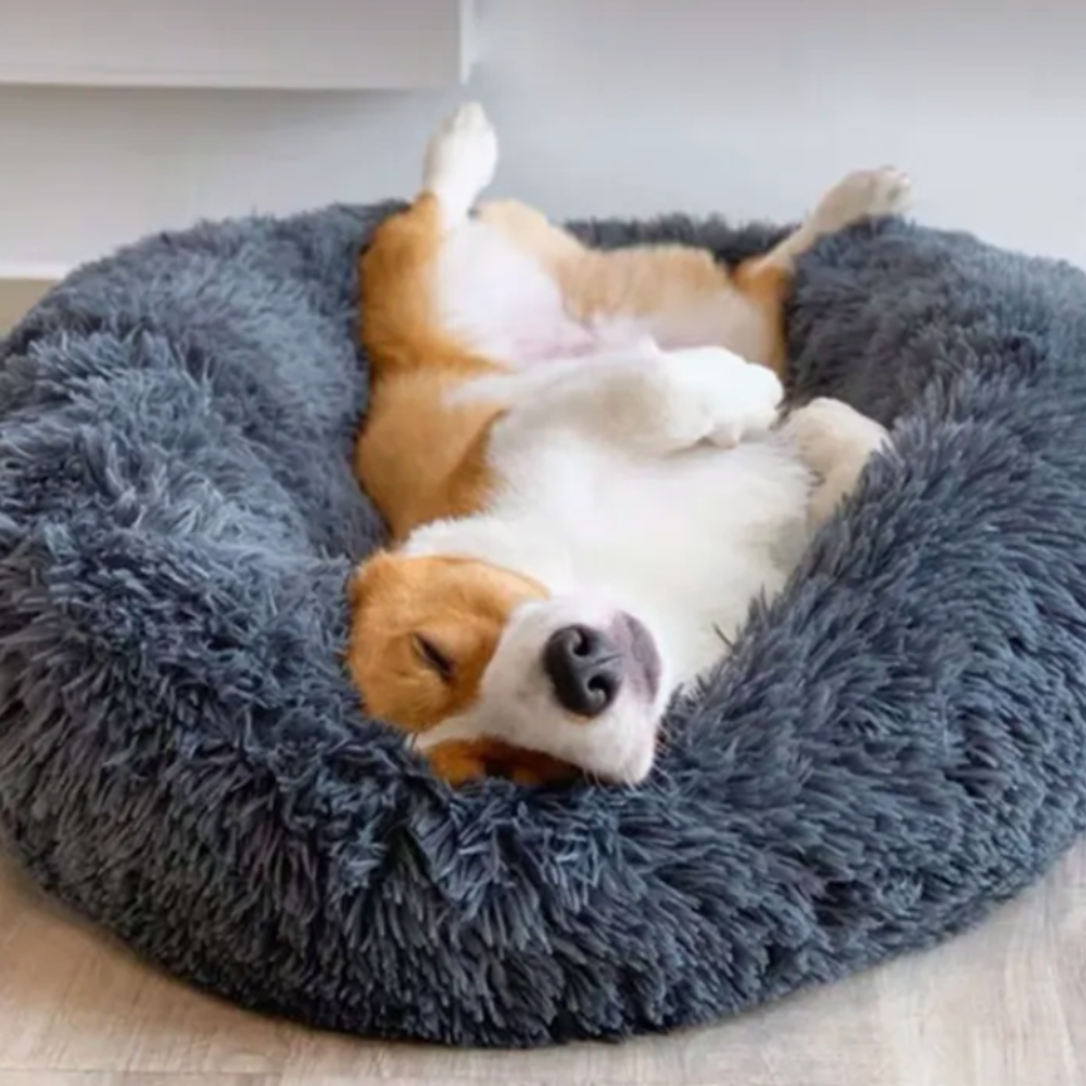 Cocon d’Hiver™ – le lit anti-stress et ultra-moelleux pour chien et Chat