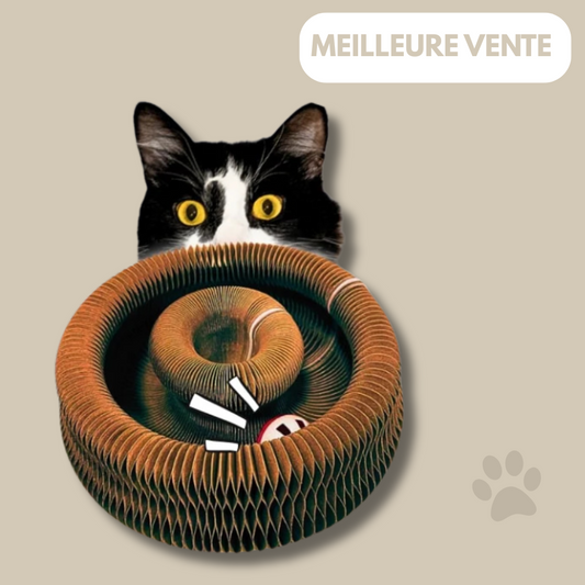 FeliFlex™ - Griffoire magique pour chat