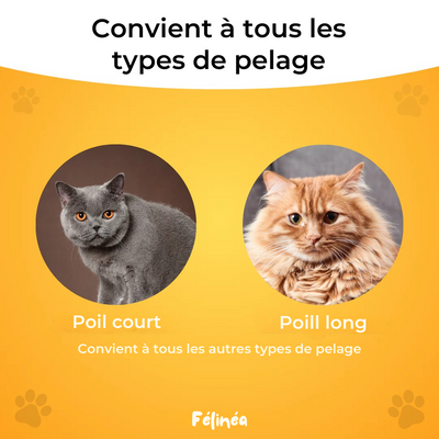 Brosse Anti-Poils - Félinéa