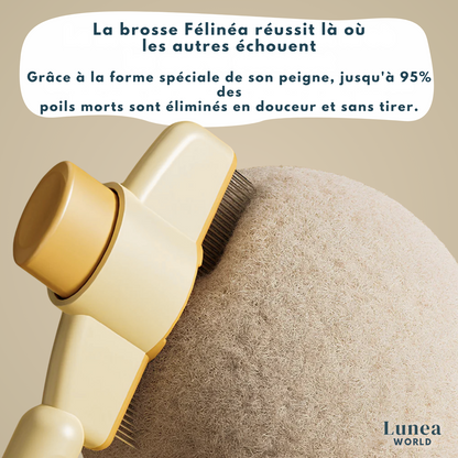 Félinéa™Pro  – Brosse Auto-Nettoyante 3 en 1
