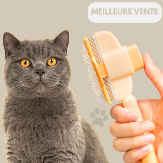 Félinéa™Pro  – Brosse Auto-Nettoyante 3 en 1