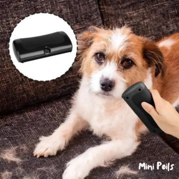 La brosse "Mini Poils"