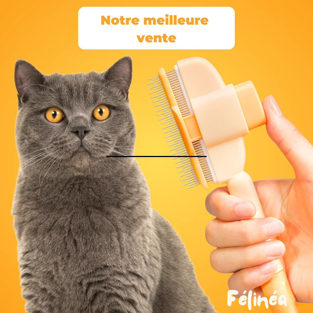 Brosse Anti-Poils - Félinéa