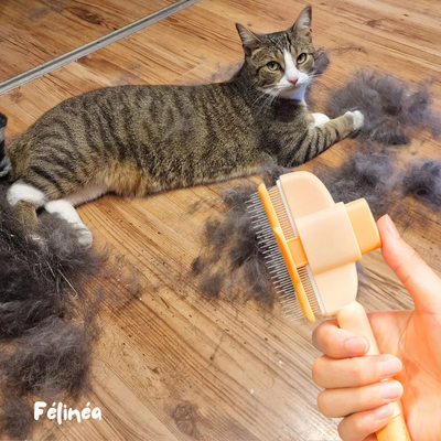 Brosse Anti-Poils - Félinéa