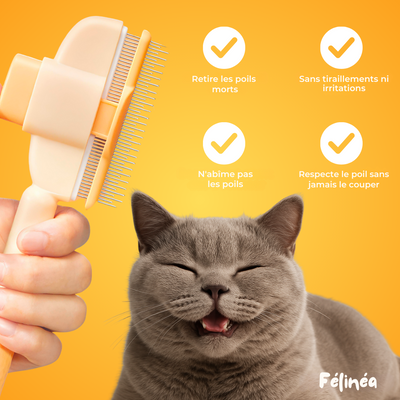 Brosse Anti-Poils - Félinéa