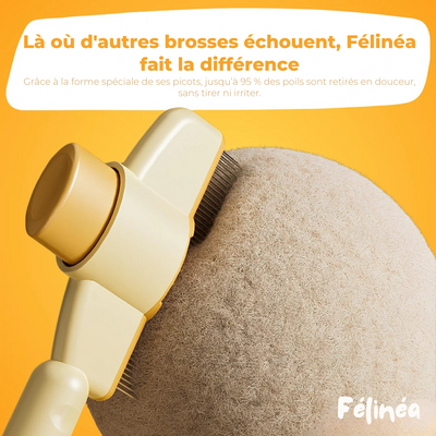Brosse Anti-Poils - Félinéa