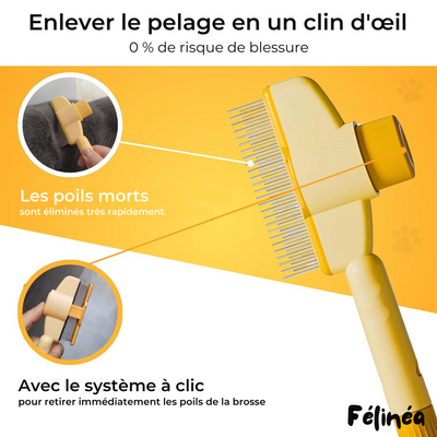 Brosse Anti-Poils - Félinéa
