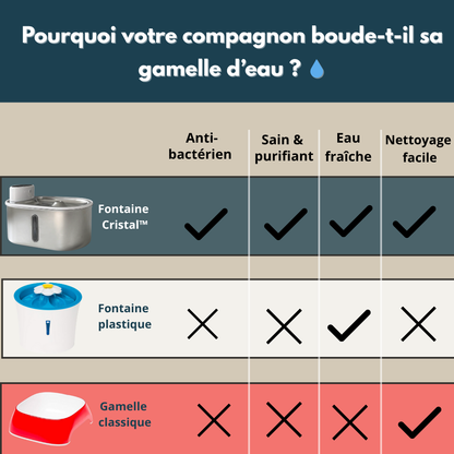 Fontaine Cristal™ – Le plaisir de boire une eau pure, pensée pour votre compagnon.