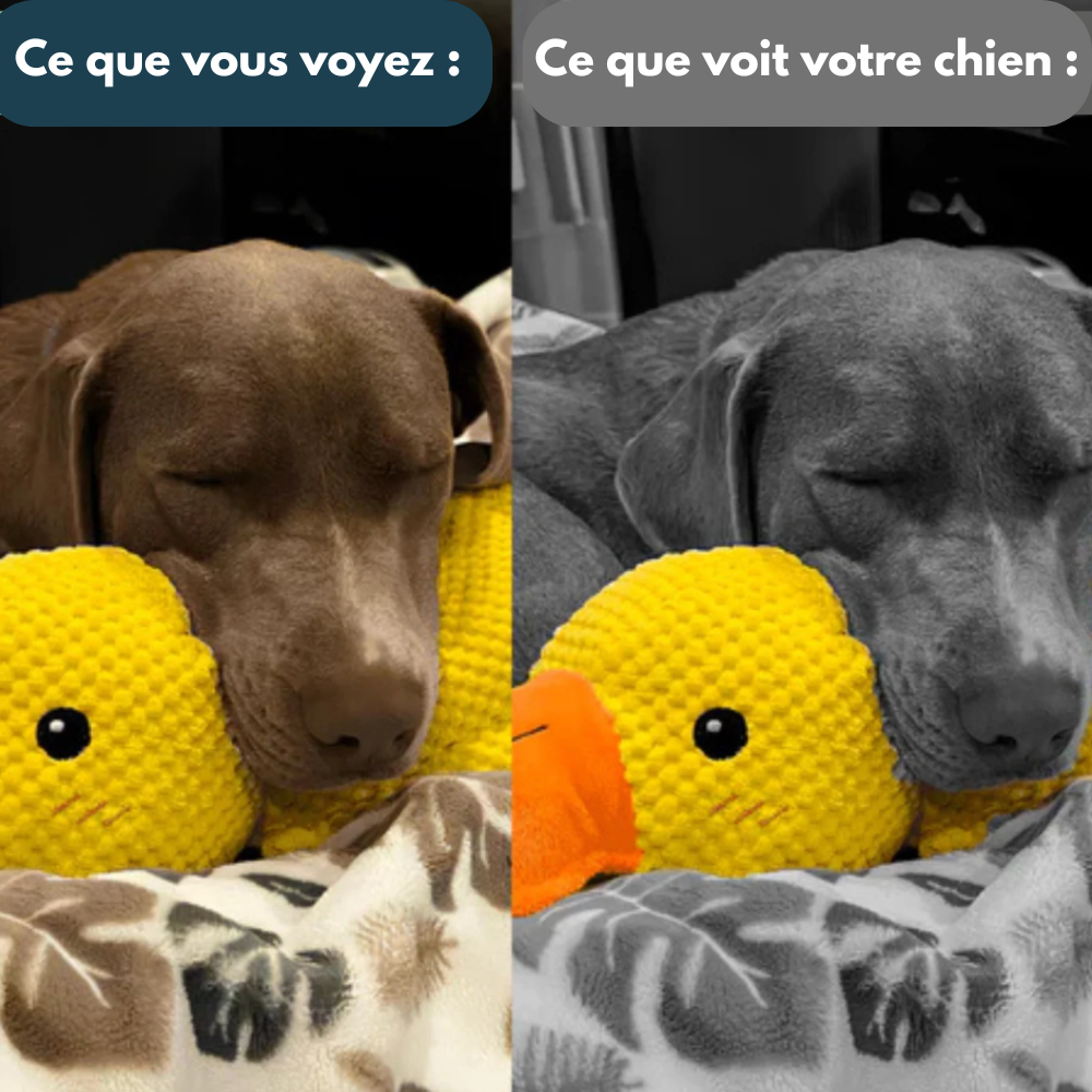 Canard Calmos™ – Doudou anti-stress