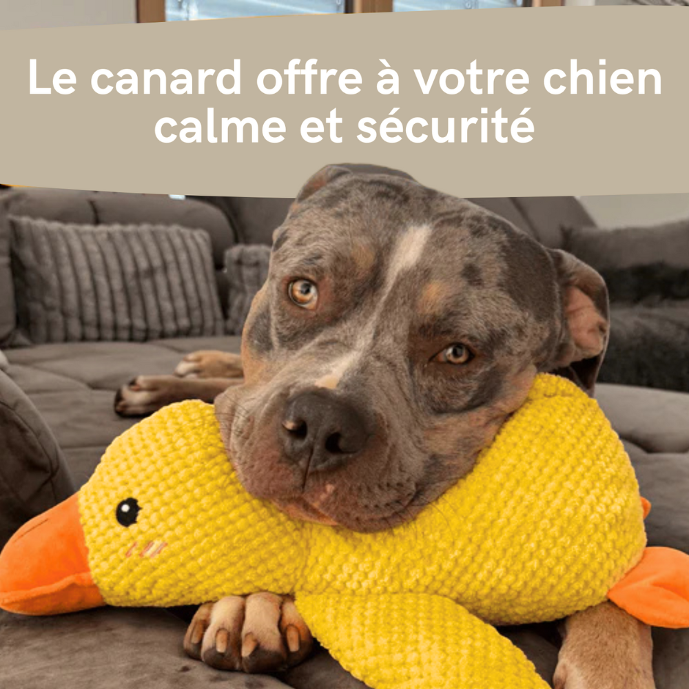 Canard Calmos™ – Doudou anti-stress