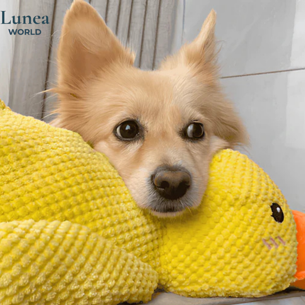 Canard Calmos™ – Doudou anti-stress