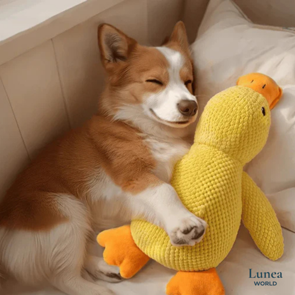 Canard Calmos™ – Doudou anti-stress