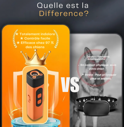 ZenDog - Un compagnon serein, une maison apaisée