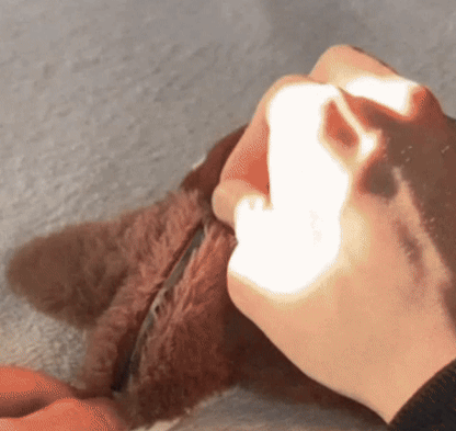 BirdyFly™ – L’oiseau volant qui éveille l’instinct félin