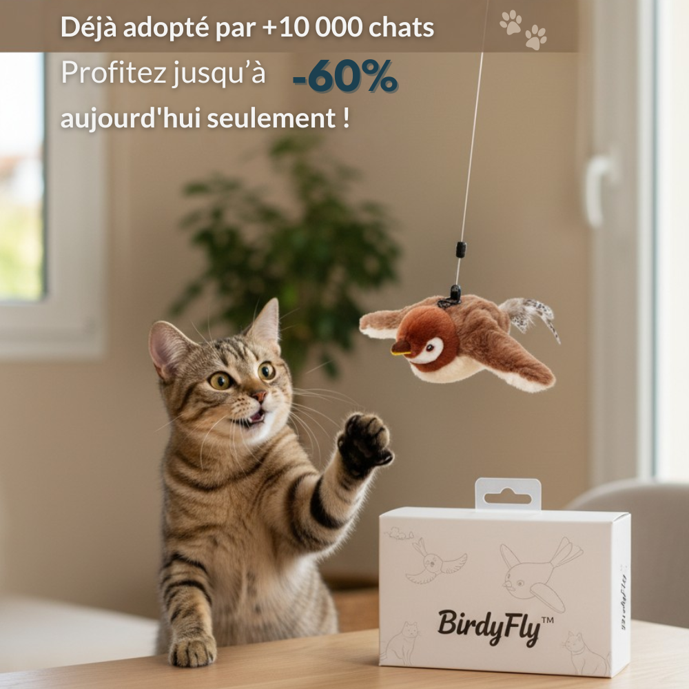 BirdyFly™ – L’oiseau volant qui éveille l’instinct félin